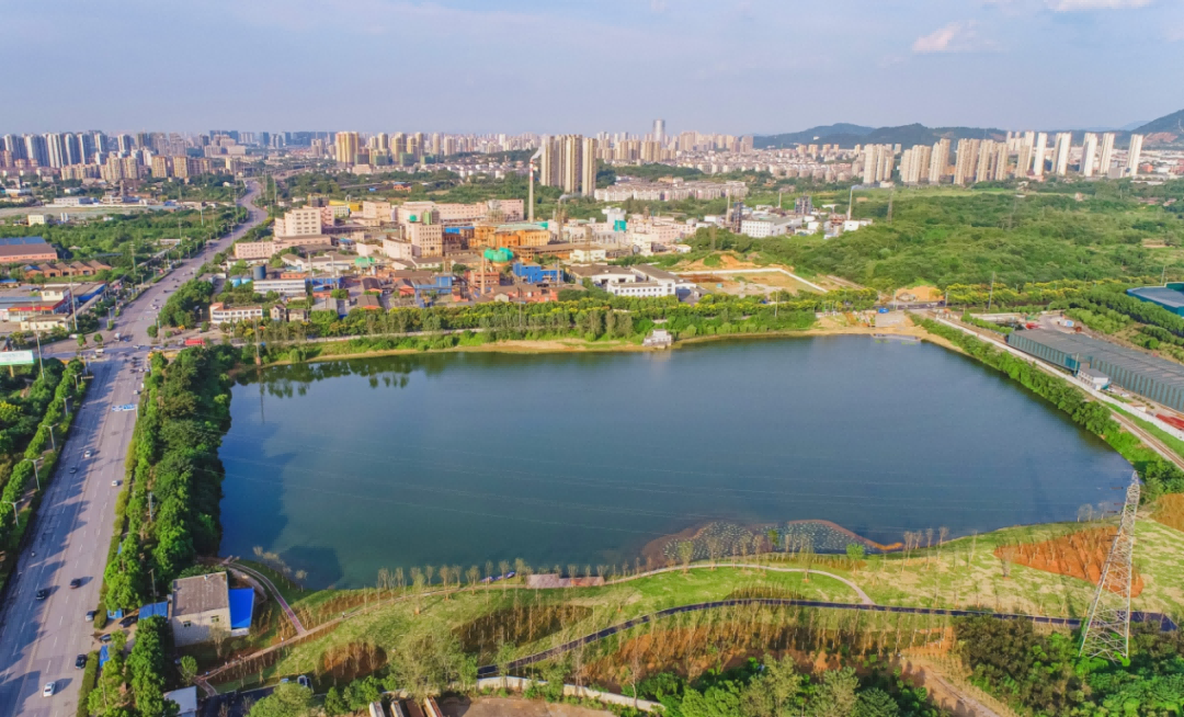 我公司承接地銅陵市荷花塘水環(huán)境污染綜合治理項(xiàng)目受到安徽省生態(tài)...